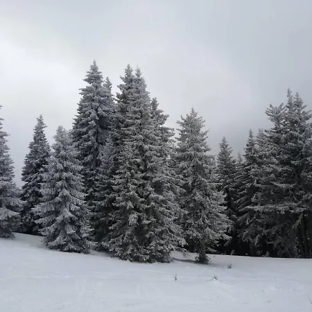 Snowy Dreams Apartment Pamporovo