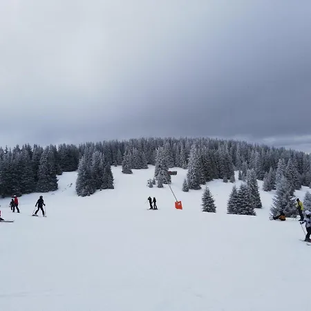 Snowy Dreams Pamporovo