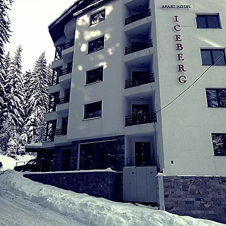 Snowy Dreams Pamporovo