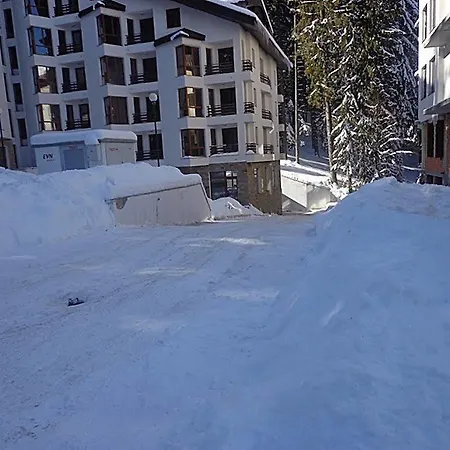 Snowy Dreams Pamporovo